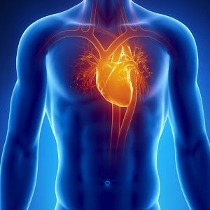 نمونه سوالات فیزیولوژی قلب