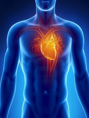 نمونه سوالات فیزیولوژی قلب