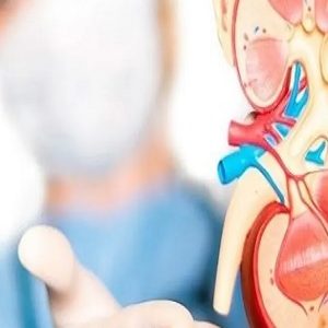 پیگیری و درمان کلیه در بیماران مبتلا به دیابت