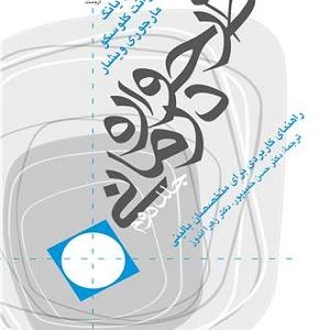 کتاب طرحواره درمانی جفری یانگ